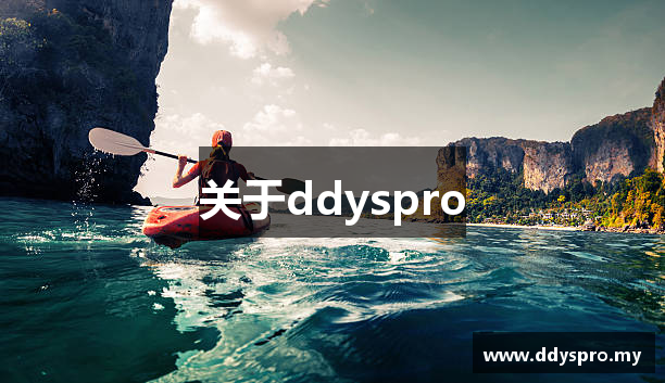 关于ddyspro